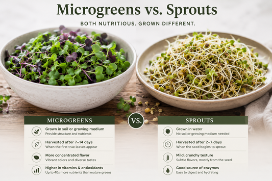 Microgreens vs Sprouts: What's the Difference (and Which Is Better?)