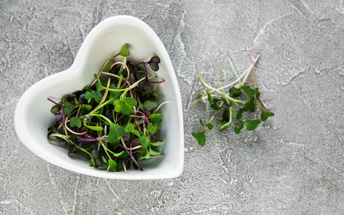 Why Microgreens Are a Nutritional Powerhouse