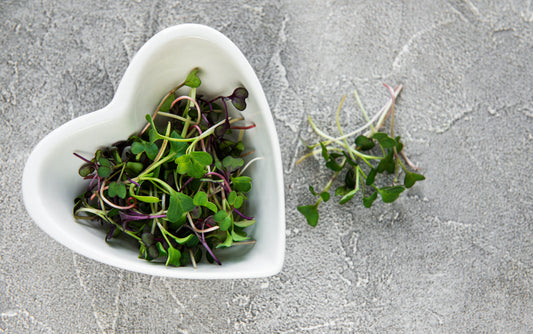 Why Microgreens Are a Nutritional Powerhouse
