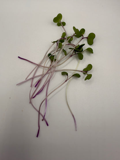 Kale