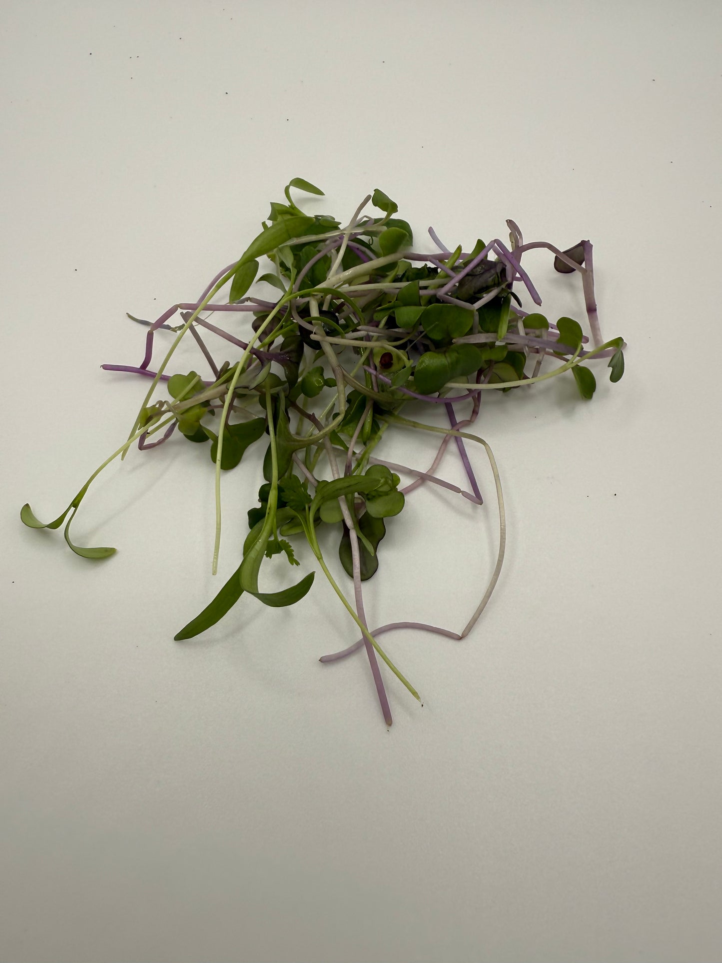 Elm Fork Spicy Mix - NO CILANTRO