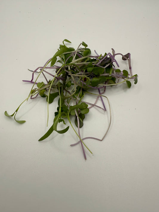 Elm Fork Spicy Mix - NO CILANTRO