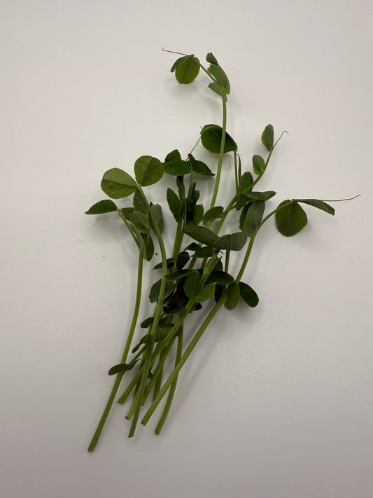 Pea